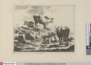 [Der Ochsenhirt beim Hügel; Cattle on a hillock and resting herd]