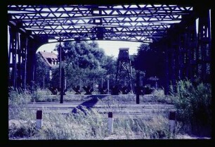Grenze b. Alt-Schönow 14.8.66.