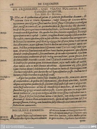 De Liquoribus, Qui Vulgo Botarge et Caviaro Dicuntur. Tit. XXV. et Ultimus.