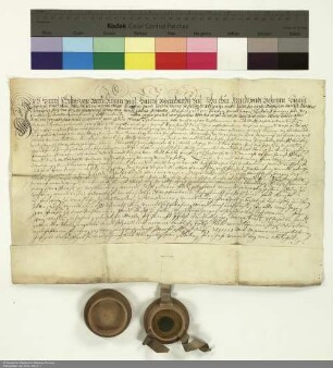 Revers Johann Philipps von Berlichingen bezüglich der Belehnung mit zwei Vorwerken in Milz und weiteren im Einzelnen aufgeführten Lehen durch Joachim [von Gravenegg], Abt von Fulda