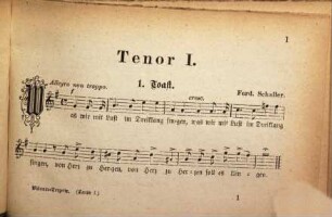 Männer-Terzette : dt. Sang zu Ehre, dt. Tugend zur Wehre ; 100 Original-Compositionen mit Beigabe einiger neuharmonisirter Volkslieder, für d. Sänger diesseits & jenseits d. Oceans ges.