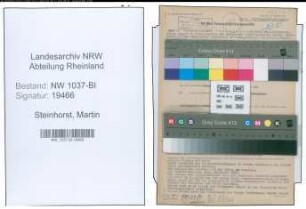 Entnazifizierung Martin Steinhorst , geb. 04.08.1902 (Reg.Rat)