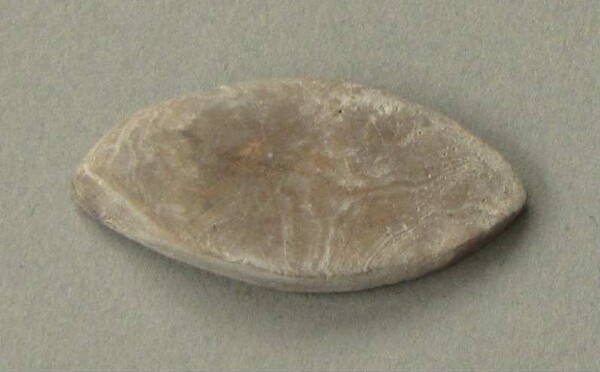 Muschelzierrat