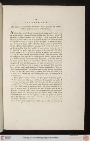 VIII. Descrizione architettonica del Ponte