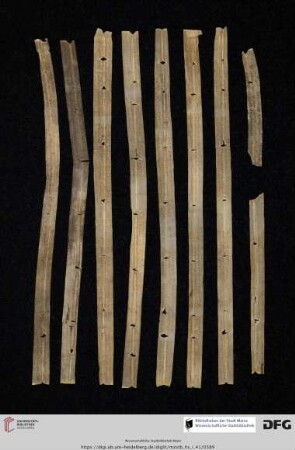 Pergamentfalze (13. Jh.; grammatische und philosophische Texte)