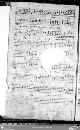 32 Philipp Dulichius: Quaerite primum