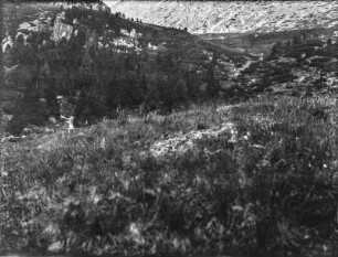 Am Berghang : Blick auf einen Berghang mit Findlingen und Wald