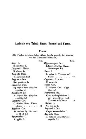 [3.] Ausbeute von Triest, Fiume, Portoré und Cherso.