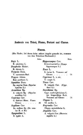 [3.] Ausbeute von Triest, Fiume, Portoré und Cherso.