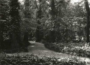 Riesa. Stadtpark. Weg im Bereich der Jahna