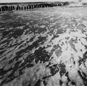 Ebbe/Flut