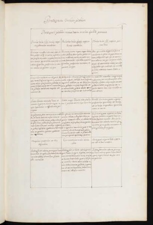 Paradigmata omnium pulsuum (tabellarische Aufstellung)