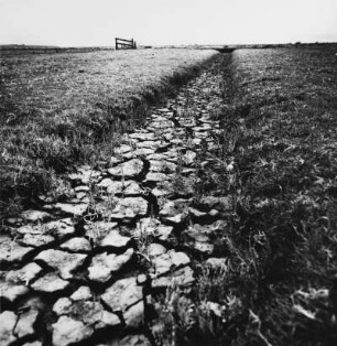 Steinweg im Feld