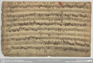 Concertos - Mus.2494-O-10,1 : fag, strings, bc - g