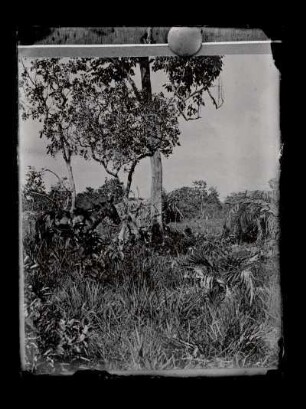 [Verlassenes Kayapó-Dorf]