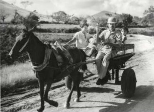 Begegnung auf einer Landstraße in Cuba