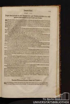 Caput VIII. Von des SchantzenMeisters Ampt und Befelch.
