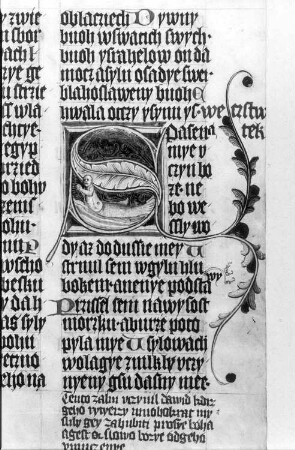 fol. 57r, Initiale mit Text