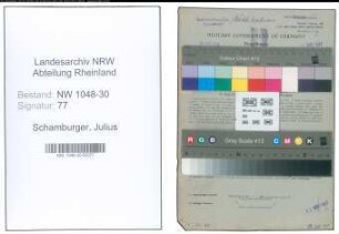 Entnazifizierung Julius Schamburger , geb. 30.03.1889 (Beamter)