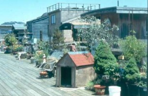 Sausalito. Grüngürtel entlang des Bootssteges