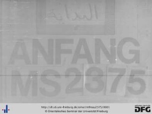 MF Mau 2375