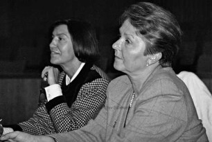 3. Stormarner Kulturforum: Podiumsdiskussion im Kreistagssitzungssaal am 22. Mai 1996: Podium, dahinter Plakate von Kunstausstellungen im Kreis Stormarn: Publikum