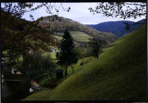 Oberprechtal: Blick ins Oberprechtal