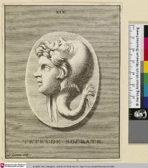 TETETOE SOCRATE