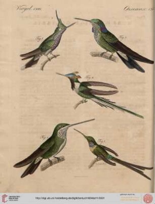 B.XI. No. 11 - B.VI. No. 20