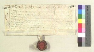 Bartholomäus Oexl, Pfleger zu Teisbach, [...] verkauft einen Holzgrund am Madholz [...];. S: Bartholomäus Oexl, Pfleger zu Teisbach