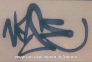 NaSE