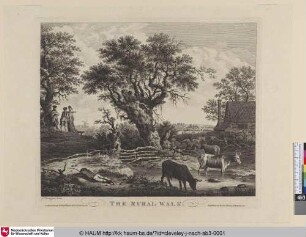 The rural walk