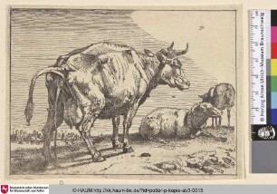 [Urinierende Kuh vor zwei Schafen; The Pissing Cow]