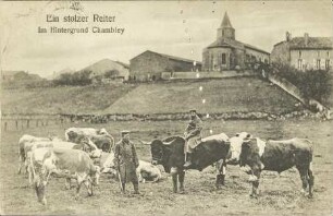 Ein stolzer Reiter