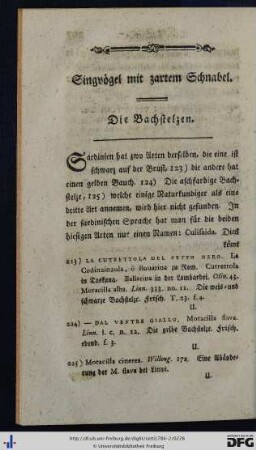 Vögel mit zartem Schnabel.