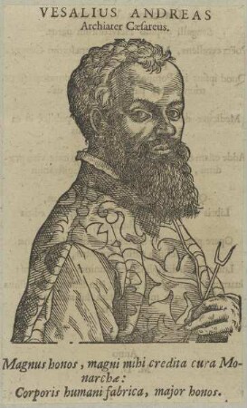 Bildnis des Andreas Vesalius