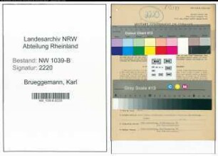Entnazifizierung Karl Brueggemann , geb. 07.09.1901 (Maurer)
