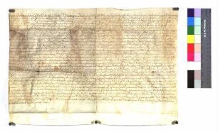 [...] und Kapitel zu Ellwangen: "Erbbrief Hans Bühlmayers von Rühlingstetten". (Altrep. S. 56)
