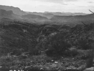 Landschaft in Arizona : Hügelige Landschaft in Arizona mit Sträuchern und Kakteen