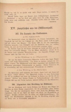 XV. Hauptsachen aus der Obstbaumzucht