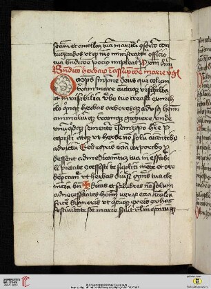 Benedictio herbarum in assumptione marie virgine