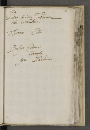 Bassus Continuus pro Panduris