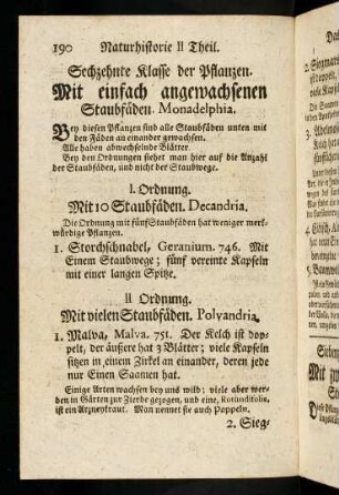 190-191, Mit einfach angewachsenen Staubfäden