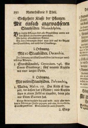 190-191, Mit einfach angewachsenen Staubfäden