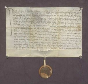 Gültbrief von Einwohnern, der Stadt Ladenburg und der Dörfer Schriesheim, Lützelsachsen, Heddesheim, Käfertal, Neckarhausen und Ilvesheim gegenüber der St. Sebastians-Kirche in Ladenburg.