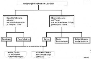 Fütterungsverfahren im Laufstall