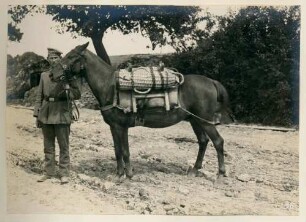 Foto eines von einem Soldaten geführten und mit zwei mittleren Minen beladenen Tragetiers