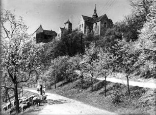 Schloss Goseck : Blick entlang des Weges nach Schloss Goseck