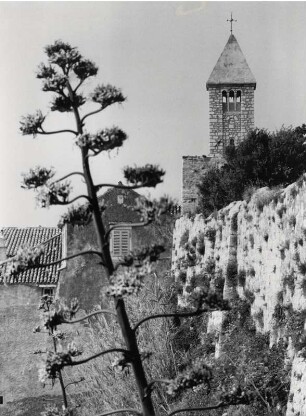 An der Uferstraße auf der Insel Rab mit seiner subtropischen Vegetation