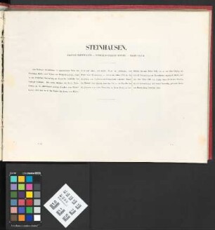 Steinhausen